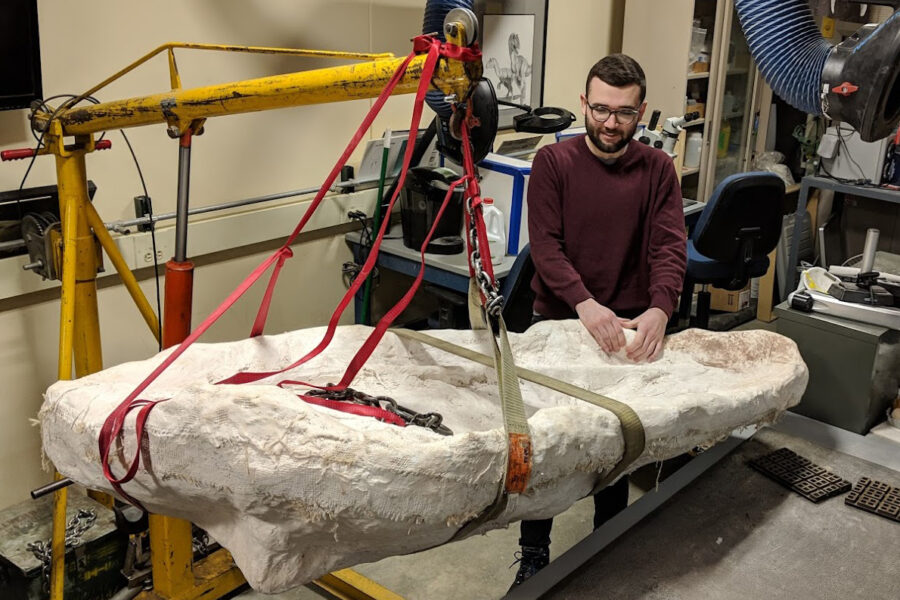 A student is using a hydraulic lift to move a large fossil