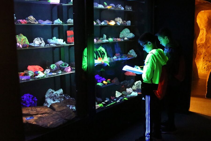 Two children view glowing minerals in a dark room
